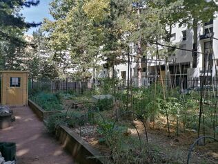 Place de la Ferrandière: une extension afin de garantir un meilleur accueil au jardin partagé  