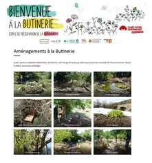 Une Butinerie à Lyon - Espace pédagogique et refuge de biodiversité en ville