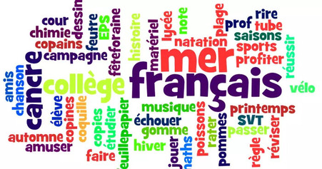 Proposer plus de cours de français