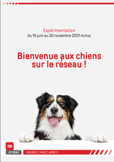 Pour une politique canine ambitieuse sur la Ville de Lyon (3/4)